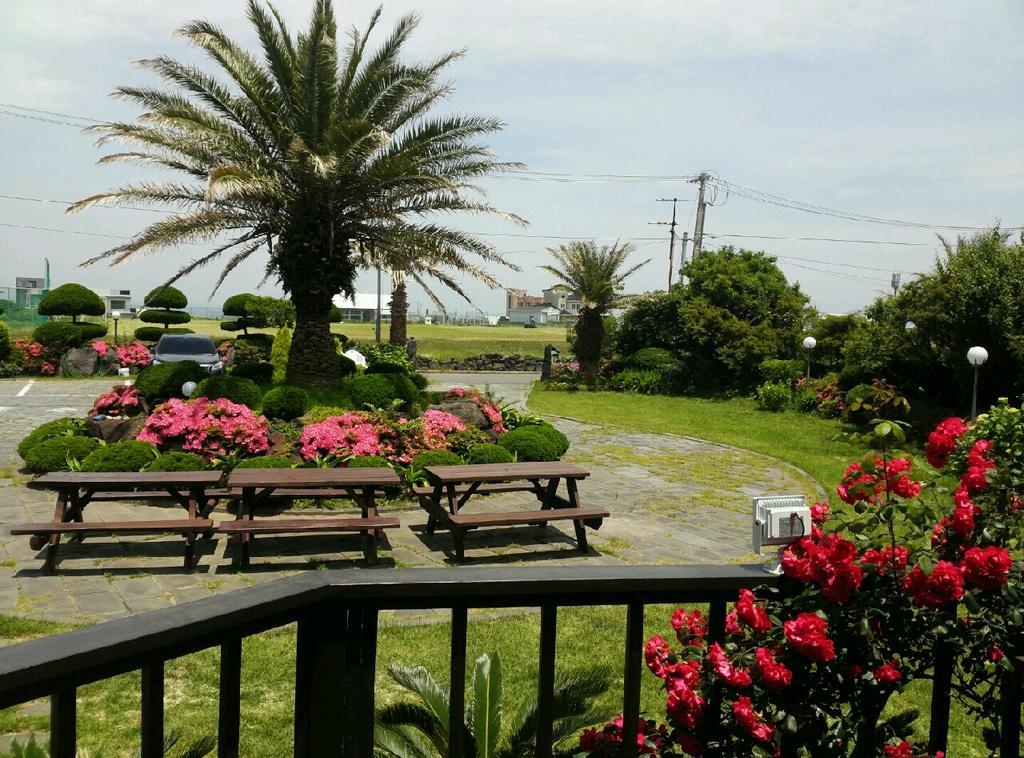 Jeju Again Olle Pension Εξωτερικό φωτογραφία