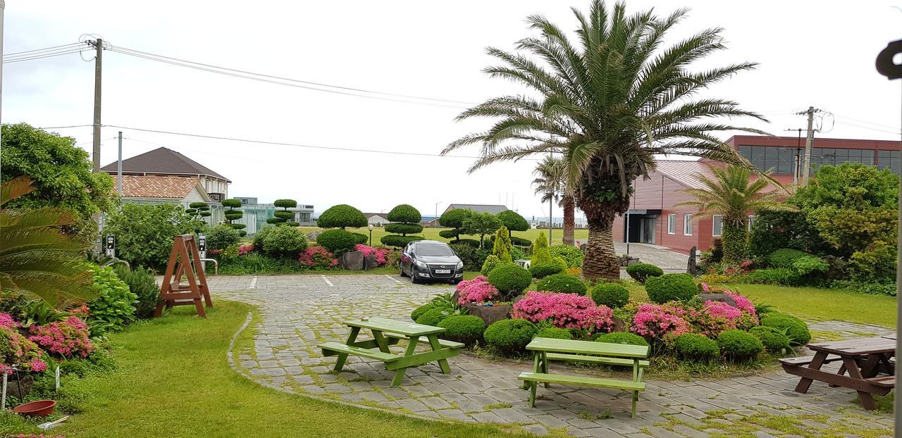 Jeju Again Olle Pension Εξωτερικό φωτογραφία