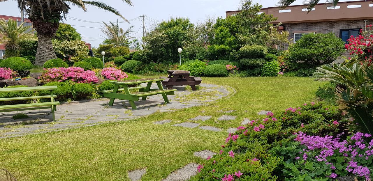 Jeju Again Olle Pension Εξωτερικό φωτογραφία