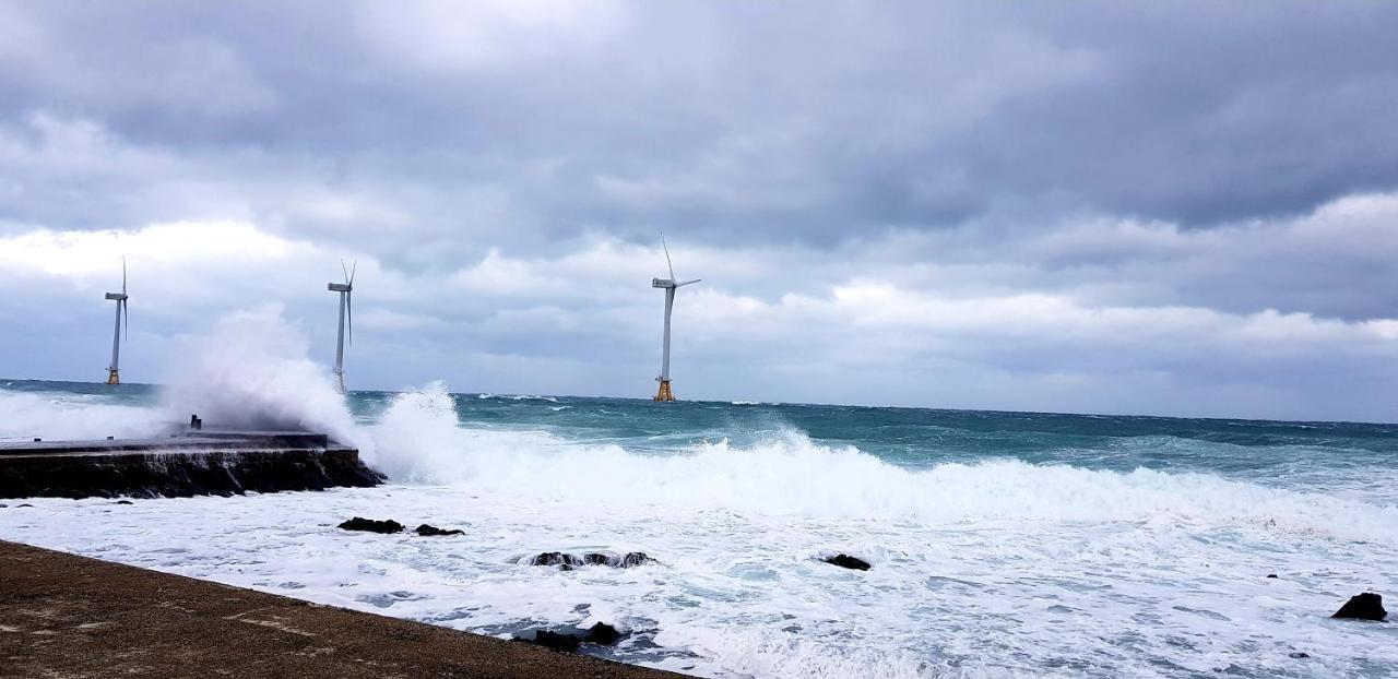 Jeju Again Olle Pension Εξωτερικό φωτογραφία